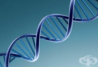 ����������� ����� � ���� �������� - ��� ���� ����, ����������� ������������ �����������